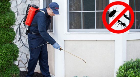Şaphane Dezenfeksiyon böcek ilaçlama ve haşere kontrolü — ilaclama-tr.com